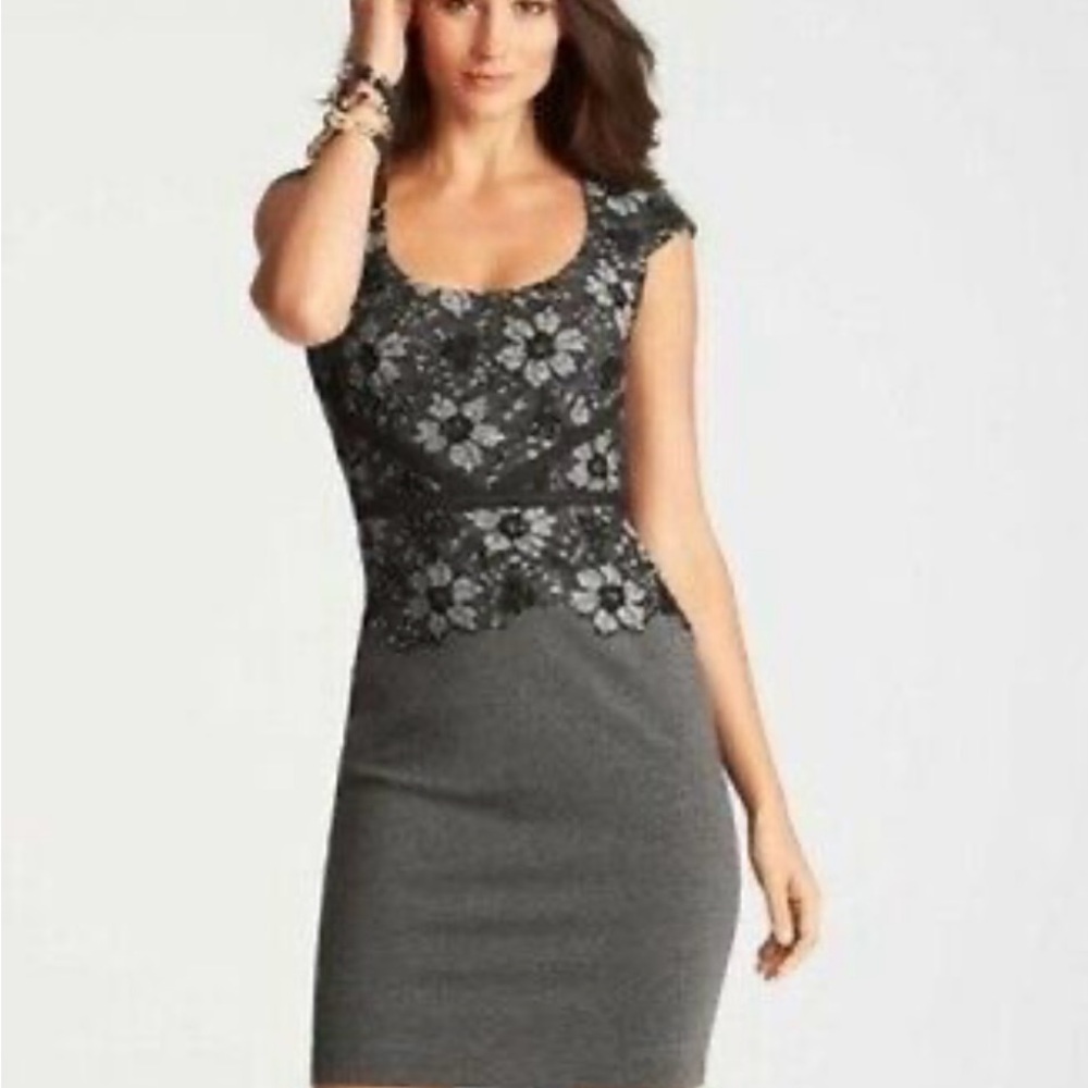Ann Taylor Gray Floral Dress NWT